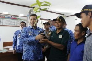 Bupati Dendi Serahkan 25 Ribu Bibit Kakao ke Petani