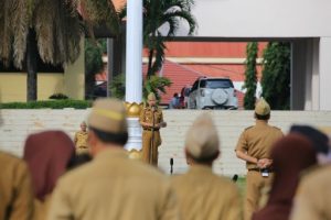 Pertahankan Kejayaan Peternakan, Pemprov Lampung Perkuat 3 Program