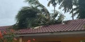 Gedung SD Kebuayan Rusak Tertimpa Pohon, Perlu Perbaikan Segera