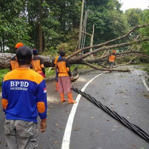 Warga Pesisir Barat Diminta Waspada Bencana