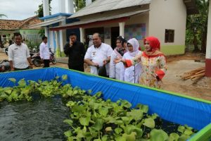 Wakili Lampung Selatan, Desa Rawa Selapan Siap Dinilai Lomba Desa Tingkat Provinsi