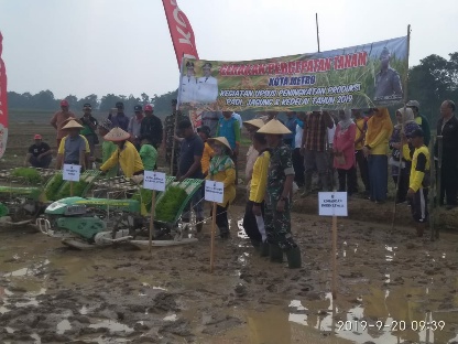 Kota Metro Laksanakan Kegiatan Percepatan Tanam Padi MT III