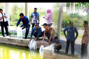 Ribuan Bibit Ikan Spesies Koi Dilepas ke Kolam Kompleks Islamic Center Tubaba