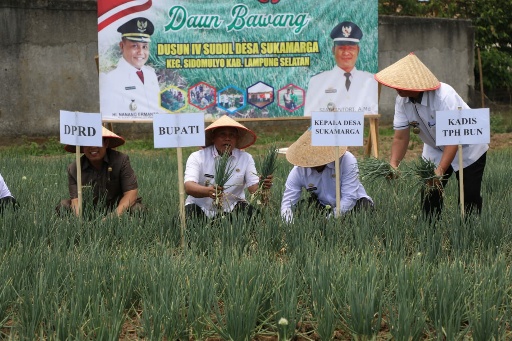 Panen Raya Daun Bawang, Nanang Beri Bantuan Alsintan