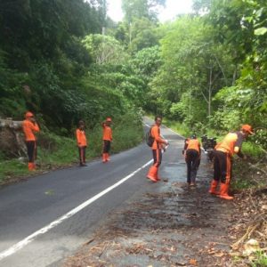 TSBP Gedau Bersihkan Pohon Tumbang