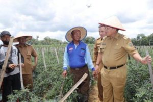 Solusi Gubernur Lampung Terkait Keluhan Petani