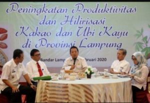 Arahan Gubernur Lampung Soal Hilirisasi Produk Kakao dan Ubi Kayu