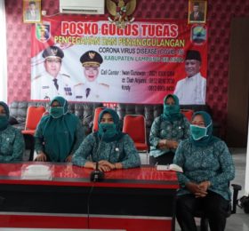 Tim Penggerak PKK Kabupaten Lampung Selatan Ikuti Virtual Meeting