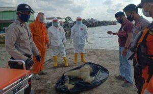 Mayat Anonim di Laut Kuala Teladas, AKP Rohmadi: Berikut Ciri-cirinya