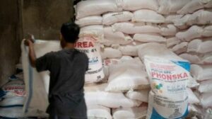 Usut Pengadaan Pupuk dan Seragam Posyandu dari Dana Desa Sumber Agung