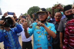 Bupati Pesisir Barat Hadiri Pelepas-liaran Lobster Hasil Budidaya