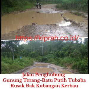 Jalan Penghubung Gunung Terang-Batu Putih Tubaba Rusak Bak Kubangan Kerbau