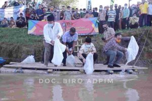 Gubernur Tebar Bibit Ikan di Sungai Tiyuh Negara Batin