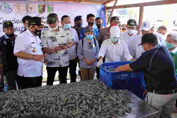 Gubernur Lampung Bersama Menteri Kelautan Dan Perikanan Edhy Prabowo Panen Udang