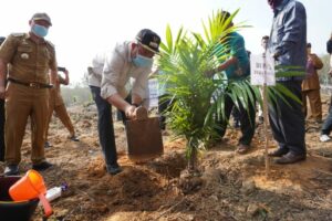 Bupati Tubaba Tanam Perdana Kelapa Sawit Program PKSP