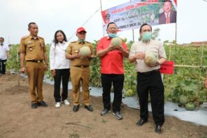 Nanang dan Sudin Hadiri Panen Perdana di Kebun Edukasi