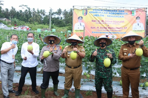 Bupati Dendi Dampingi Gubernur Arinal Panen Perdana Melon dan Semangka di Pesawaran