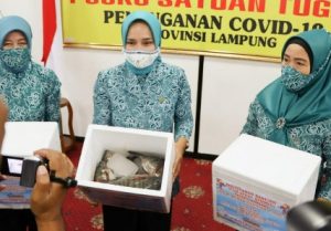 Pemprov Lampung Salurkan Bantuan Ikan Segar Melalui TP-PKK