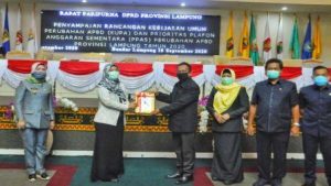 Wagub Lampung Chusnunia Sampaikan KUPA dan PPAS Perubahan APBD 2020