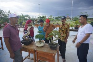 Masyarakat Tubaba Penyuka Tanaman Bonsai Semakin ‘Nayah’