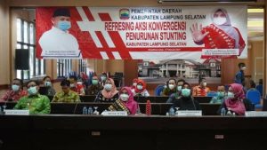 Winarni Nanang Jadi Pembicara Program Aksi Konvergensi Penurunan Stunting Tingkat Nasional