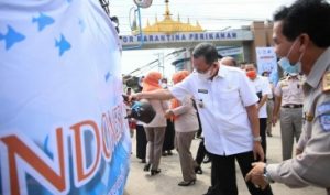 Pemprov dan BKIPM-KKP Lampung Tebar Benih Ikan Sehat Bermutu
