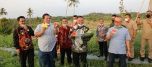 Bupati Nanang Ajak Gubernur Lampung Mencicipi Manisnya Semangka Kebun Edukasi