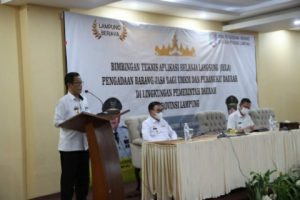Cara Pemprov Lampung Buka Peluang UMKM Perluas Jangkauan Pasar