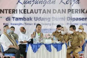Respon Positif Menteri Kelautan dan Perikanan Terhadap Pengembangan Komoditas Udang di Lampung