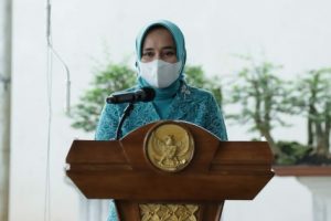 Terima Kunjungan Pemdes Kemendagri, Ketua TP PKK Provinsi Lampung Kenalkan Gerakan Siger