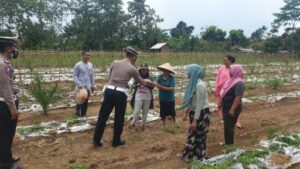 Ops Patuh Krakatau 2021, Satlantas Polres Tubaba Bagikan Bansos dan Masker