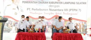 Bupati Lampung Selatan Terima Silaturahmi Jajaran PTPN VII
