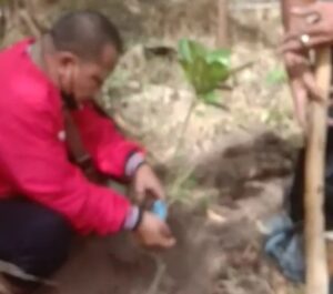 Sahdana: Gerakan Menanam Pohon, Bentuk Kepedulian Partai terhadap Kelestarian Alam