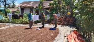 Babinsa Koramil 422-02 Pesisir Selatan Laksanakan Komunikasi Sosial Bersama Petani Kopi
