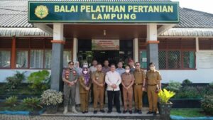 Bupati Lampung Selatan Terus Gelorakan Program Pertanian Modern