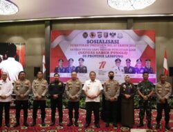 Tanggapan Gubernur Arinal Soal Perpres Saber Pungli