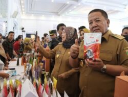 Upaya Pemprov Lampung Bangkitkan Kreativitas dan Inovasi Pelaku Usaha