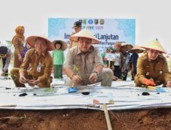 Gubernur Arinal Melakukan Gerakan Tanam Cabai di Kabupaten Pesawaran