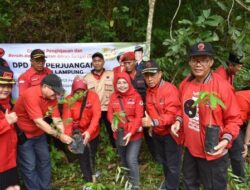 DPD PDIP Lampung Lakukan Gerakan Penghijauan