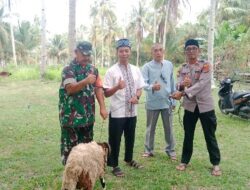 Pupuk Sinergitas, Polres Pesisir Barat Bagikan Hewan Kurban Kepada Koramil 422-03