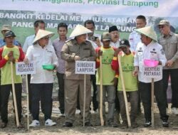Arinal Bersama Dua Menteri Lakukan Gerakan Tanam Kedelai