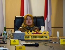 Wagub Ikuti Rakor Pengendalian Inflasi Daerah Bersama Menteri Dalam Negeri