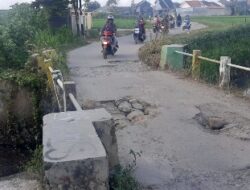 Lapor Pak Bupati Lamsel! Warga Sidosari Keluhkan Jalan Rusak dan Jembatan Nyaris Ambruk
