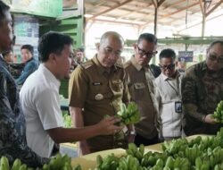 Fahrizal Buka Business Matching Pembiayaan Klaster Petani Pisang Kabupaten Tanggamus