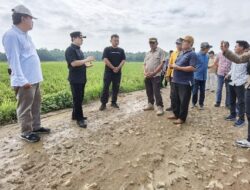 Cek Jalan Rusak, Pj Bupati Pringsewu Cepat Cari Solusi