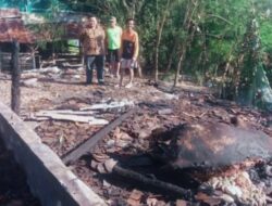 Akibat Pembakaran Serbuk Gergaji, Kandang Sapi Milik Warga Gunungkidul Ludes Terbakar
