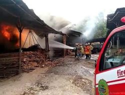 Kebakaran di CV. Jati Lestari, Korban Menderita Kerugian Ratusan Juta