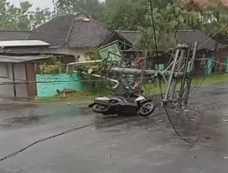 Diterjang Angin Kencang, Sejumlah Pohon Jati Serta Tiang Listrik Ambruk