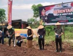 Program Ketahanan Pangan, Kapolres Gunungkidul Tanam Jagung di Lahan Seluas 2,92 Hektar