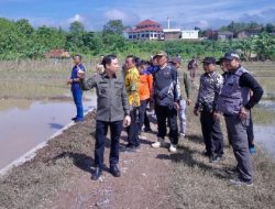 Pj Bupati Pringsewu Tinjau Lokasi Terdampak Banjir di Ambarawa